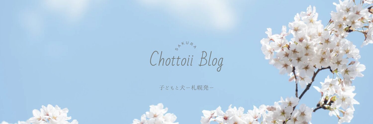 chottoii blog