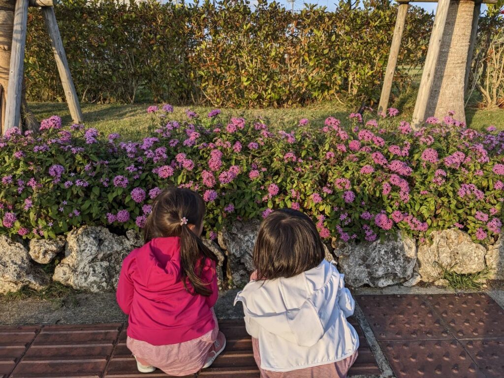 石垣島で南国らしい花探しをする子どもの様子