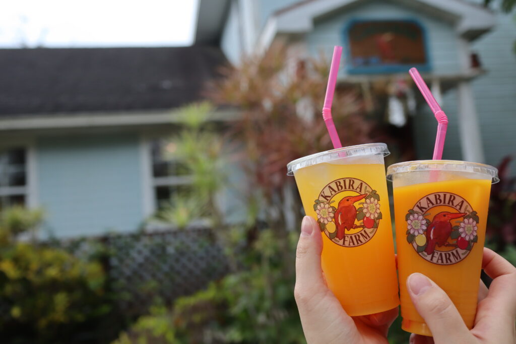 石垣島の川平ファームのマンゴージュースとパッションフルーツジュース
