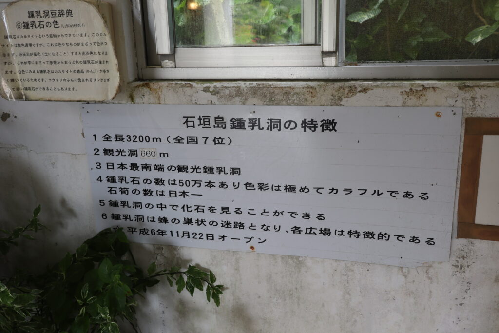 石垣島鍾乳洞の特徴