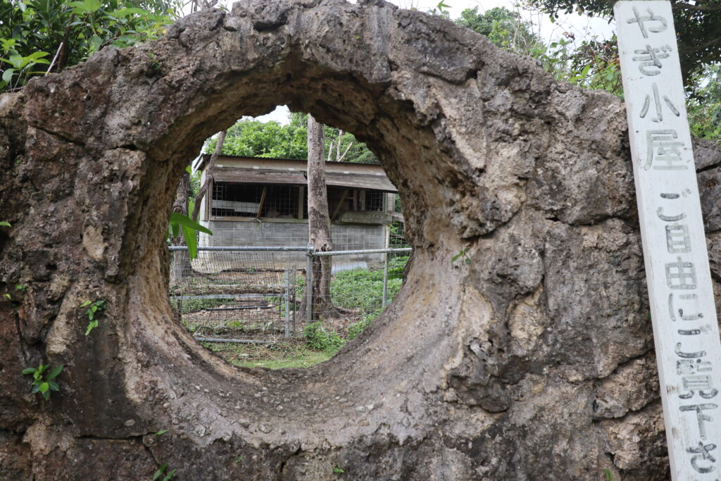 石垣島鍾乳洞付近で見つけたヤギ小屋