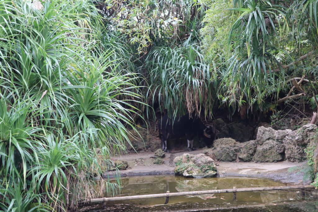 沖縄県にあるビオスの丘の湖水観光舟からの眺め