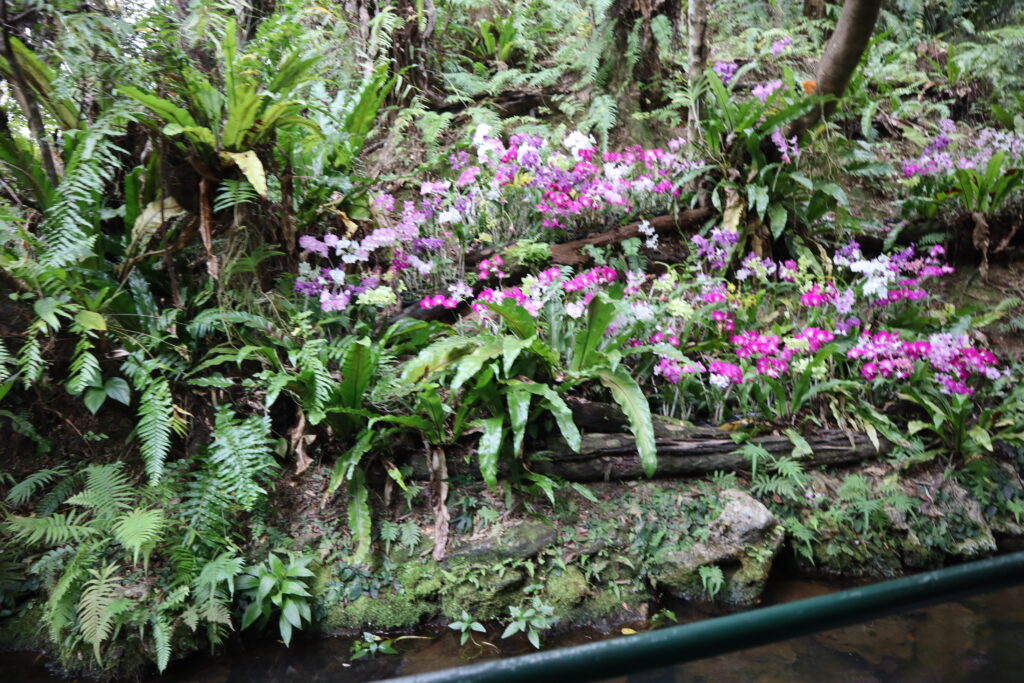 沖縄県にあるビオスの丘の湖水観光舟