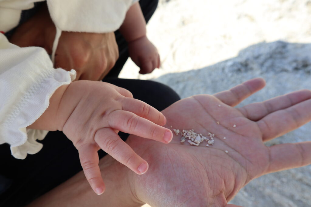 0歳時と一緒に竹富島の皆示浜で星砂探しをする様子