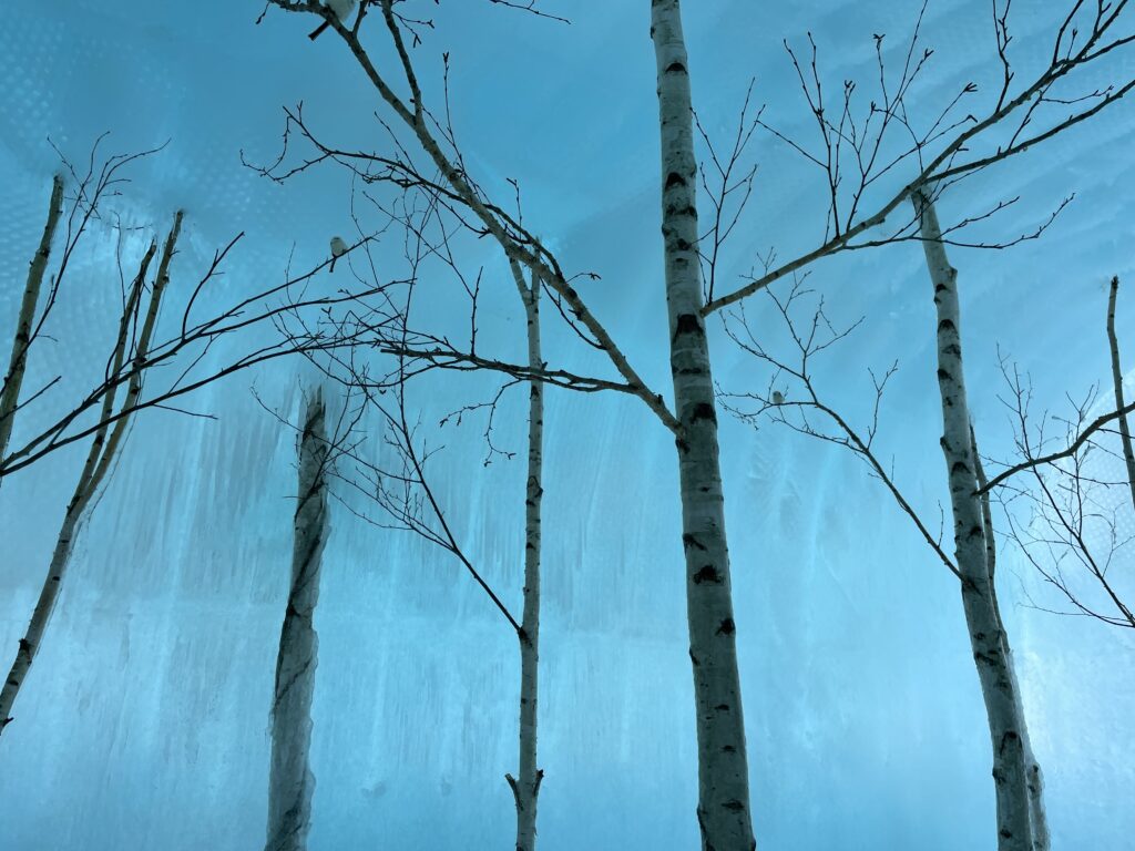 支笏湖氷濤まつり