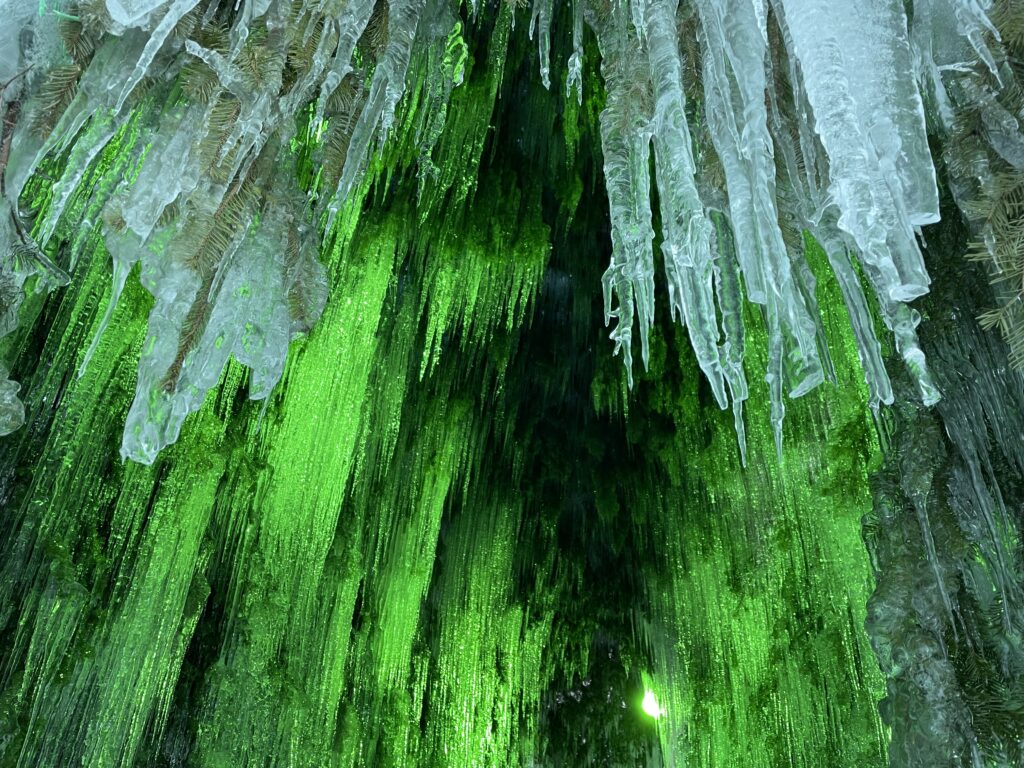 支笏湖氷濤まつり苔のトンネル