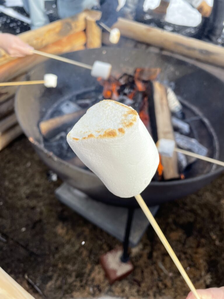 支笏湖氷濤まつりの焼きマシュマロ