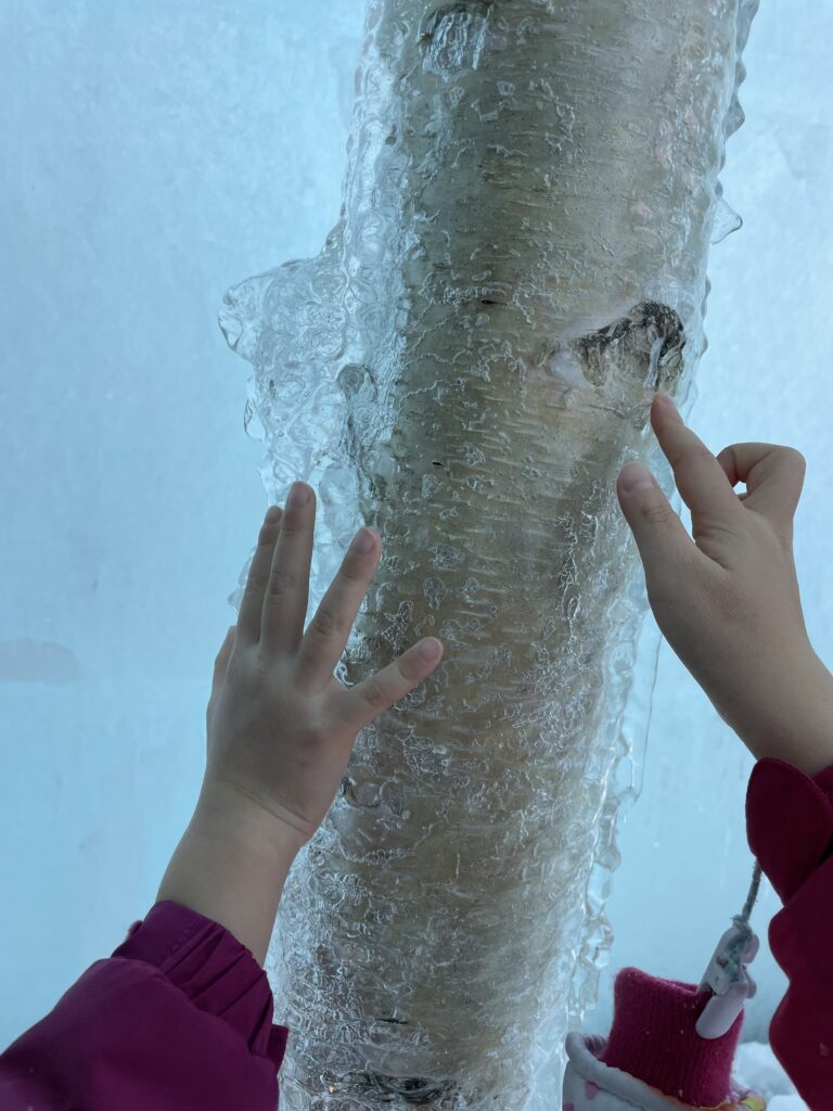支笏湖氷濤まつりの凍った白樺