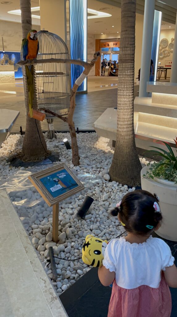 ルネッサンスリゾートオキナワのインコのチャーミー