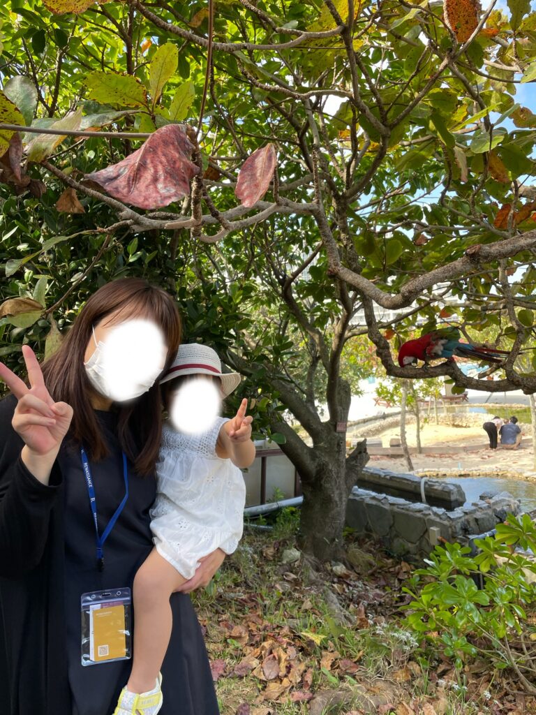 ルネッサンスリゾートオキナワのインコ