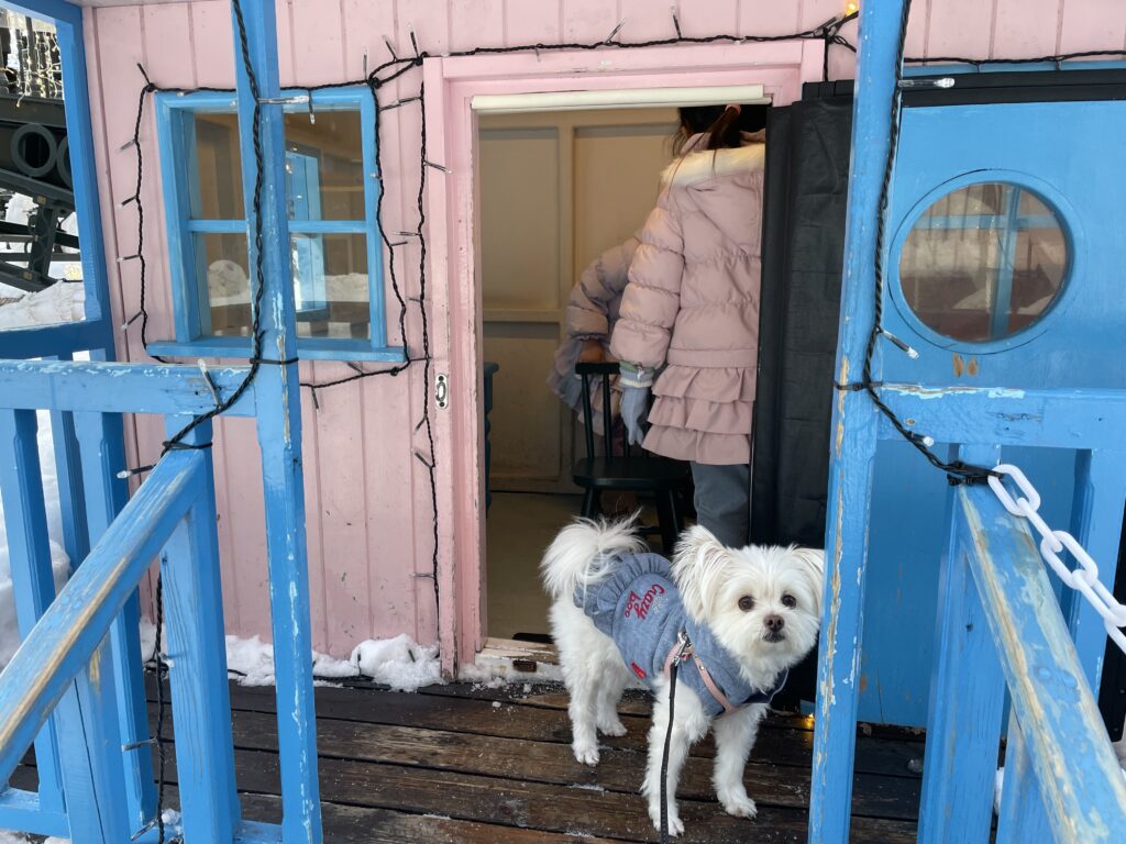 白い恋人パーク