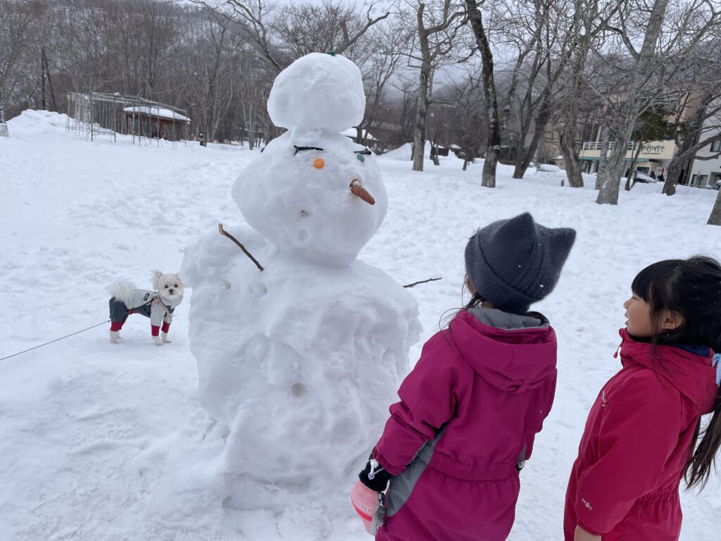 支笏湖氷濤まつり付近