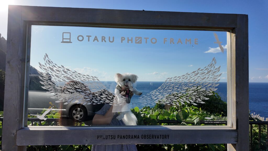 ホテルノイシュロス小樽の近くにあるフォトスポット