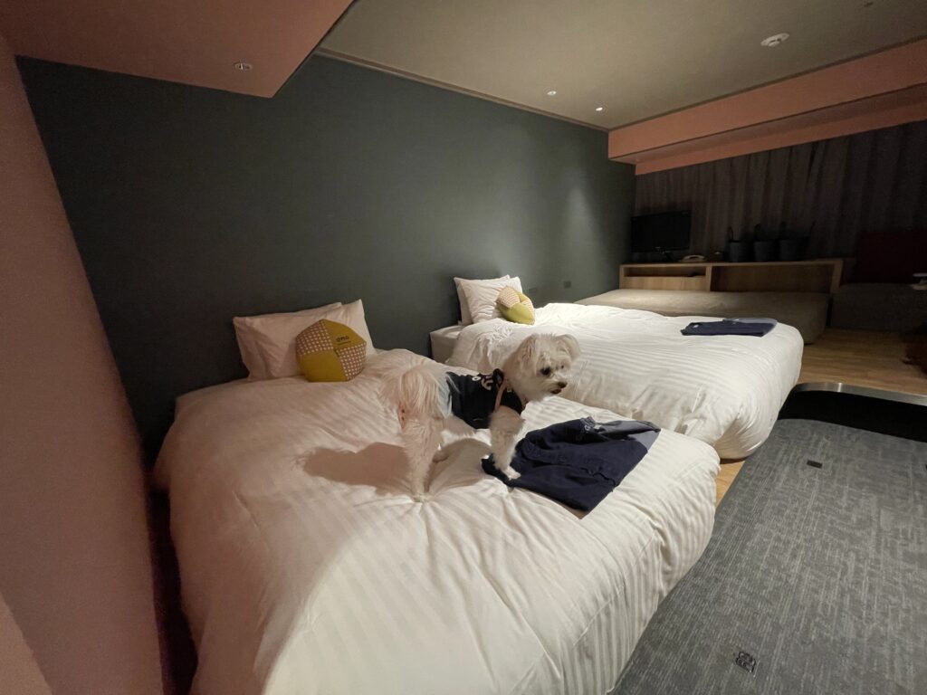 OMO7旭川のドッグフレンドリールーム