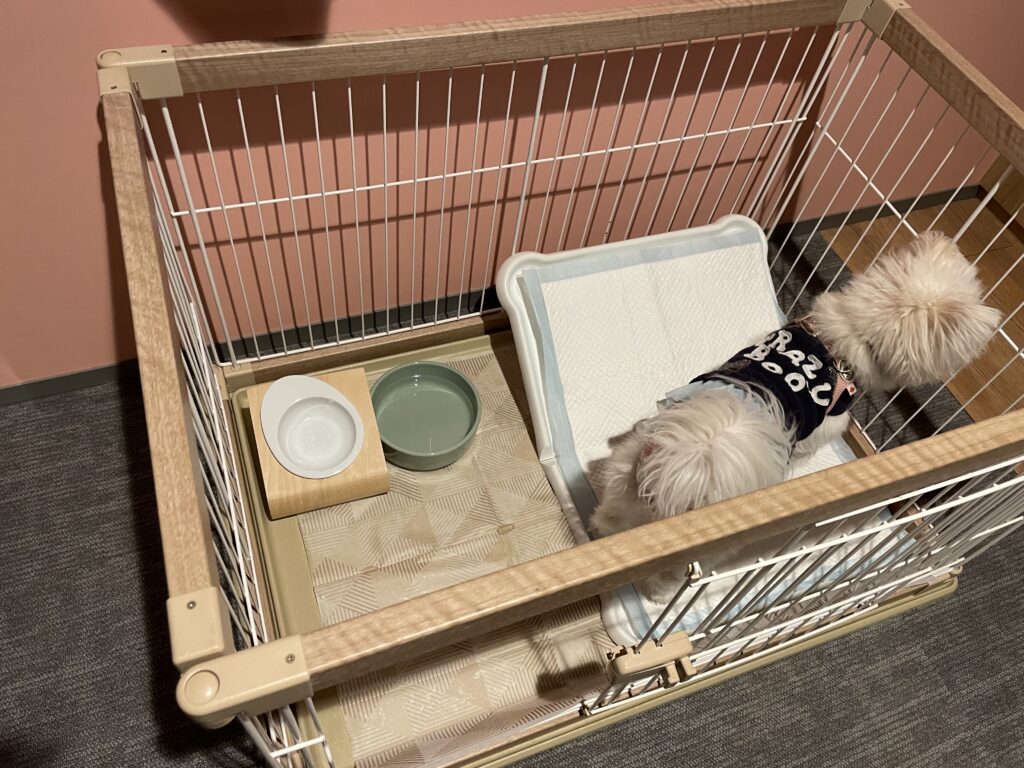 OMO7旭川のドッグフレンドリールーム